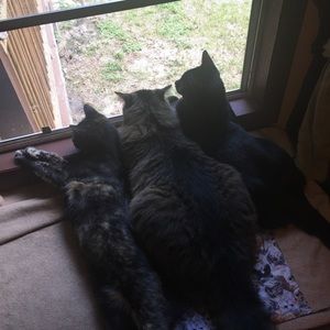 Meet your Posher, Crissy